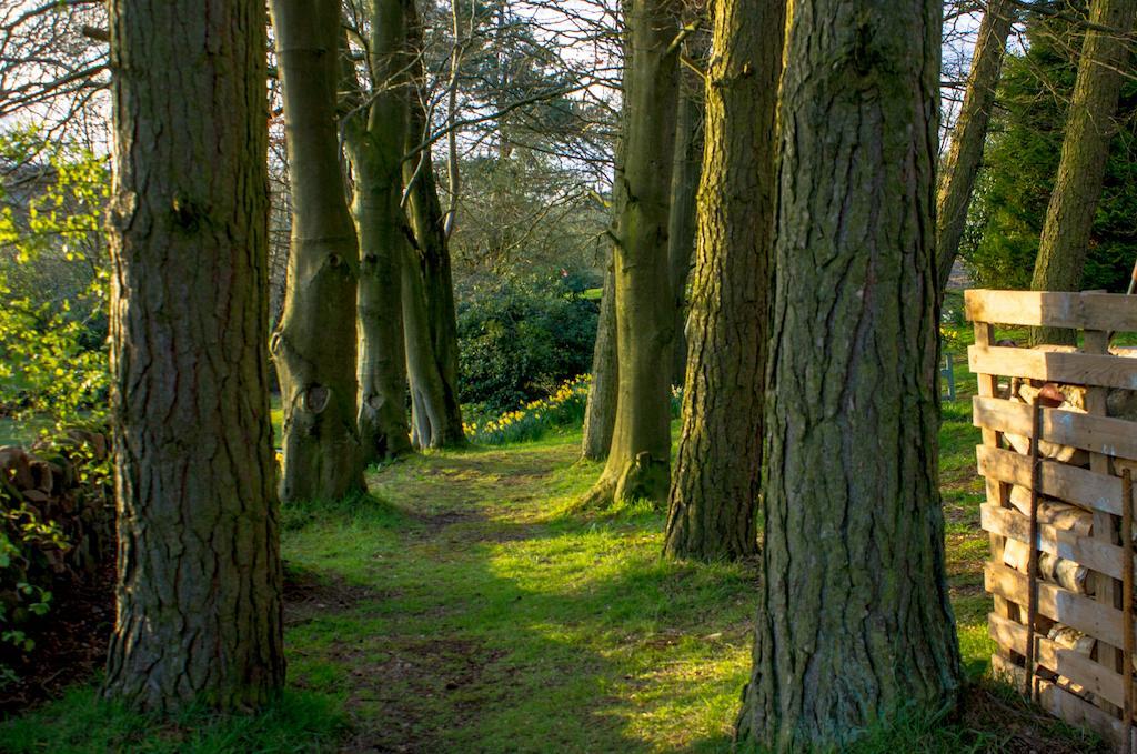Robin Hood Farm B&B バスロウ エクステリア 写真