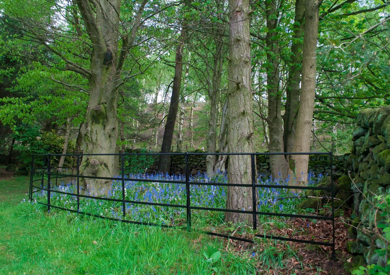 Robin Hood Farm B&B バスロウ エクステリア 写真